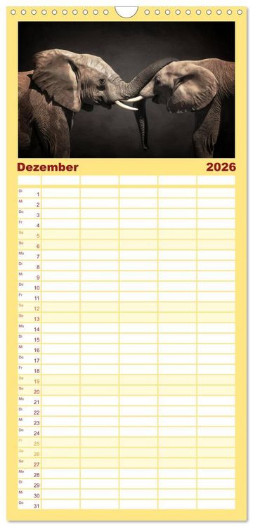Produktbild: Familienplaner 2026 - Elefanten - Portraits der besonderen Art mit 5 Spalten (Wandkalender, 21 x 45 cm) CALVENDO