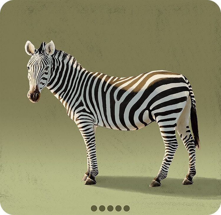 Produktbild: Blitz Zebra Astronaut