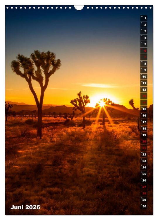 Produktbild: Impressionen aus dem JOSHUA TREE NATIONAL PARK (Wandkalender 2026 DIN A3 hoch), CALVENDO Monatskalender