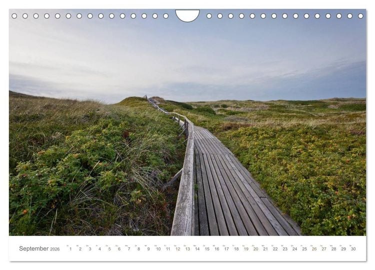 Produktbild: Stege & Wege auf Sylt (Wandkalender 2026 DIN A4 quer), CALVENDO Monatskalender