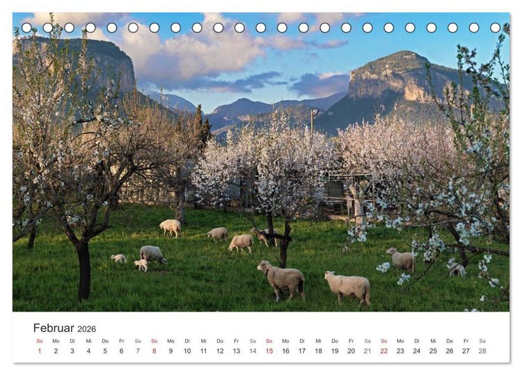 Produktbild: Mallorca - auf in den Urlaub (Tischkalender 2026 DIN A5 quer), CALVENDO Monatskalender