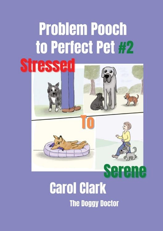 Produktbild: Problem Pooch