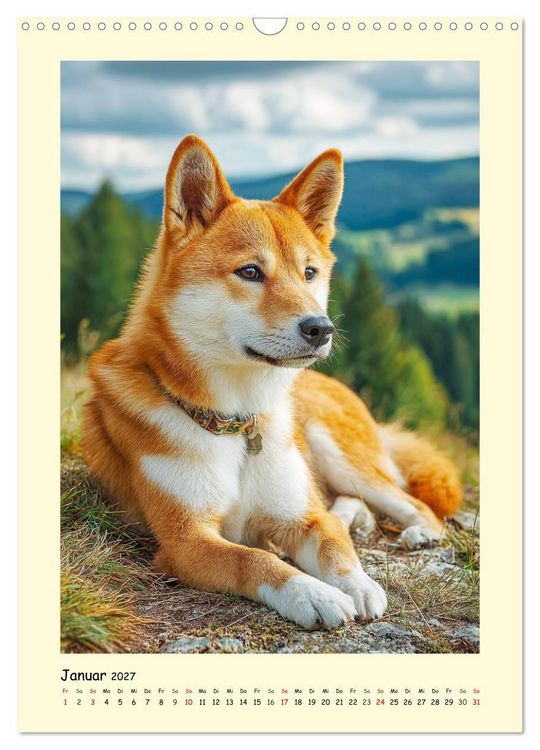 Produktbild: Shiba Inu Momente. Japans elegante Seelenhunde (Wandkalender 2027 DIN A3 hoch), CALVENDO Monatskalender