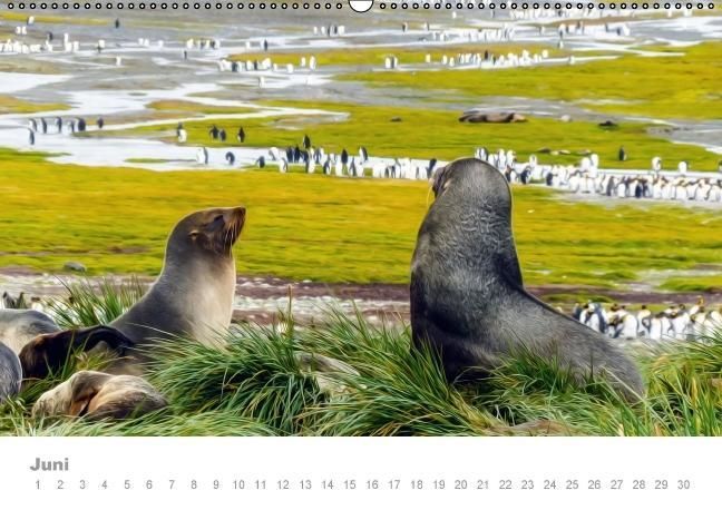 Produktbild: ANTARKTIS (Wandkalender immerw&auml;hrend DIN A2 quer)