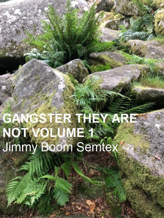 Produktbild: Gangster They Are Not Volume 1