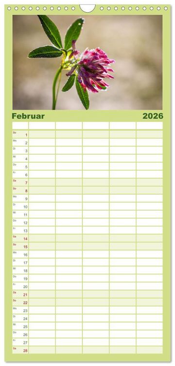 Produktbild: Familienplaner 2026 - Naturparadies Allg&auml;u - Von Oberstdorf bis F&uuml;ssen mit 5 Spalten (Wandkalender, 21 x 45 cm) CALVENDO
