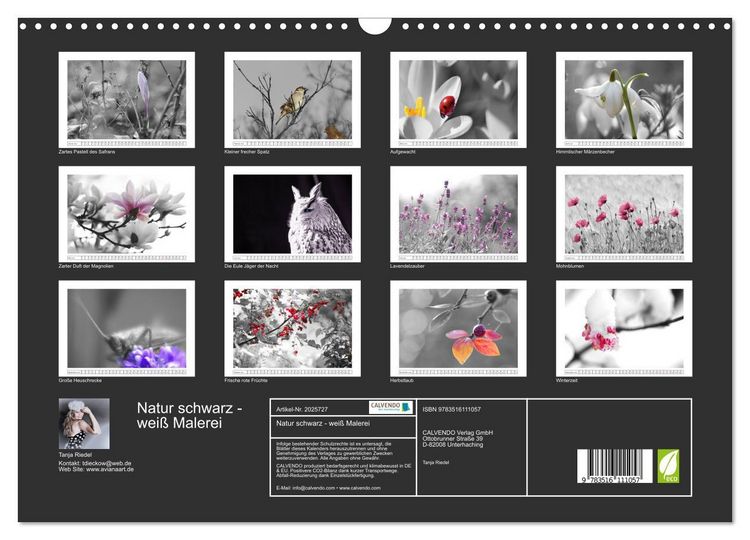 Produktbild: Natur schwarz - wei&szlig; Malerei (Wandkalender 2026 DIN A3 quer), CALVENDO Monatskalender
