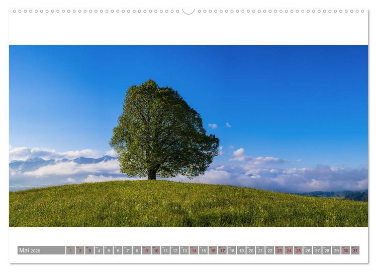 Produktbild: Oberallg&auml;u Panorama (hochwertiger Premium Wandkalender 2026 DIN A2 quer), Kunstdruck in Hochglanz