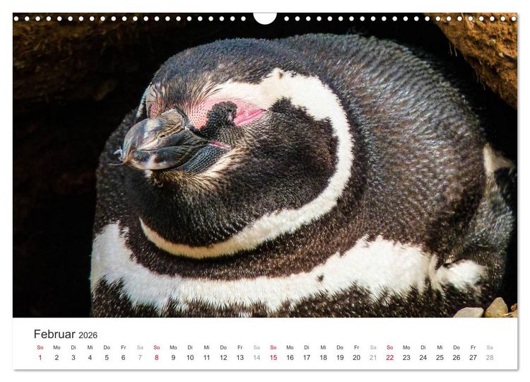 Produktbild: Chile - Land voller Kontraste (Wandkalender 2026 DIN A3 quer), CALVENDO Monatskalender