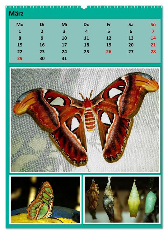 Produktbild: Karibik - Eindr&uuml;cke einer Kreuzfahrt (Wandkalender 2027 DIN A2 hoch), CALVENDO Monatskalender
