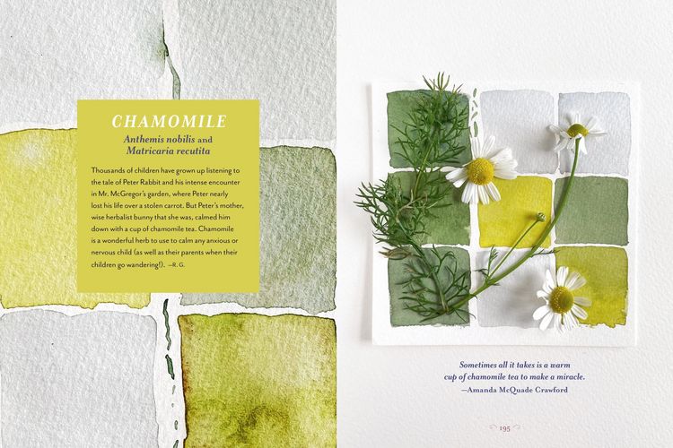 Produktbild: The Generosity of Plants
