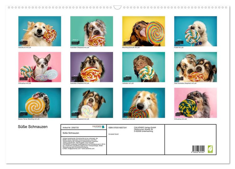Produktbild: S&uuml;&szlig;e Schnauzen (Wandkalender 2026 DIN A2 quer), CALVENDO Monatskalender