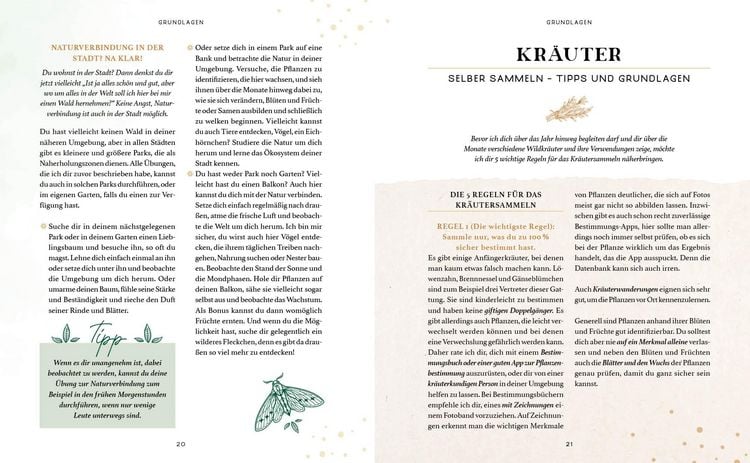 Produktbild: Zaubernuss und Waldmagie – Naturmomente für deine Seele