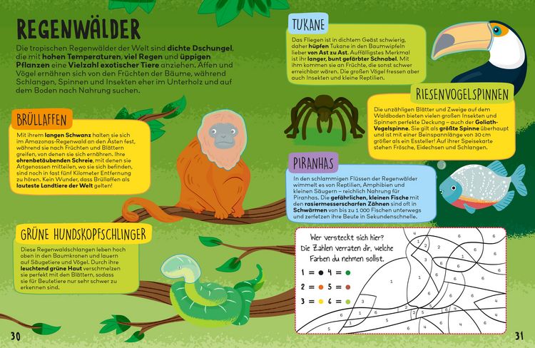 Produktbild: Das gro&szlig;e Buch der Tiere