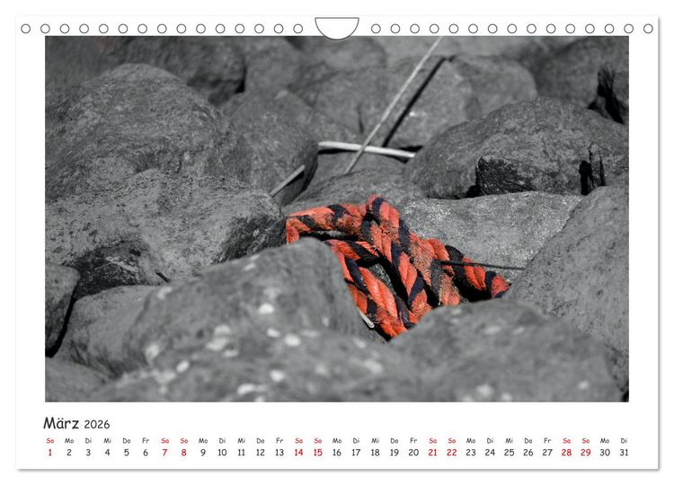 Produktbild: Gestrandet -Treibgut- (Wandkalender 2026 DIN A4 quer), CALVENDO Monatskalender