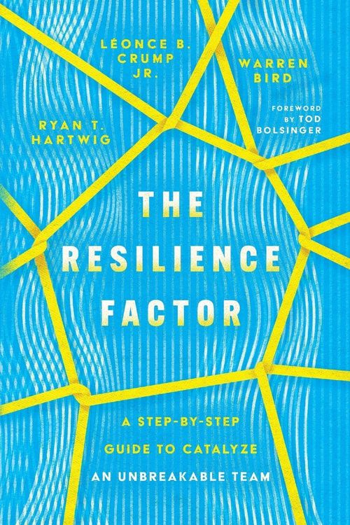 Produktbild: The Resilience Factor