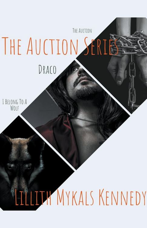 Produktbild: The Auction Series