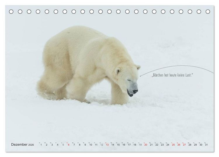 Produktbild: Emotionale Momente: Eisb&auml;ren - ganz menschlich gesehen. (Tischkalender 2026 DIN A5 quer), CALVENDO Monatskalender