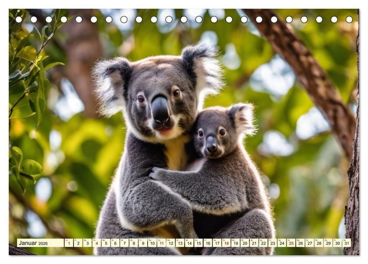 Produktbild: Australiens faszinierende Fauna (Tischkalender 2026 DIN A5 quer), CALVENDO Monatskalender