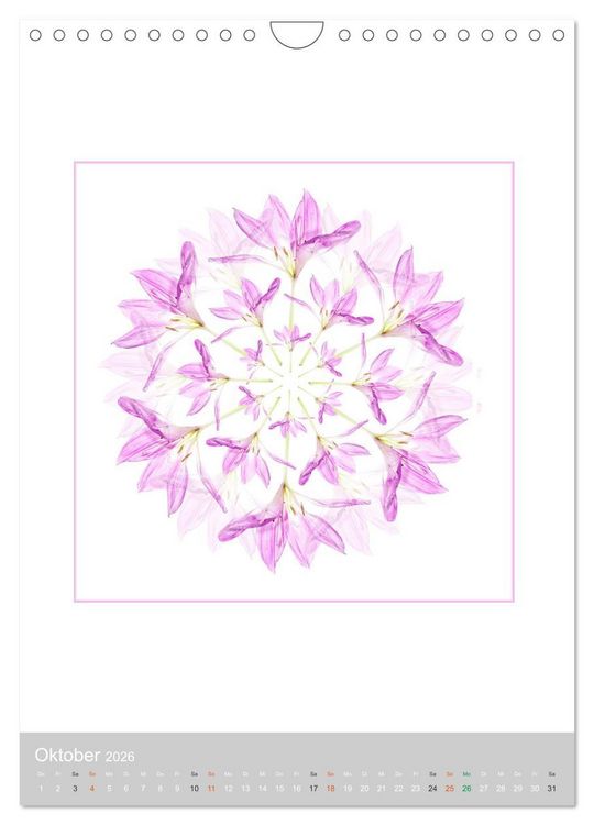 Produktbild: Pflanzen - Mandalas aus Bl&uuml;ten und Bl&auml;ttern (Wandkalender 2026 DIN A4 hoch), CALVENDO Monatskalender