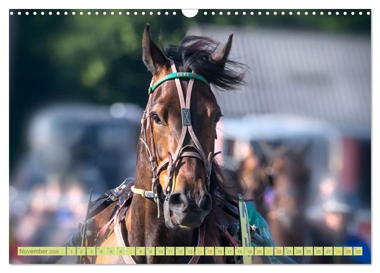Produktbild: Rennpferde - Gesichter erz&auml;hlen (Wandkalender 2026 DIN A3 quer), CALVENDO Monatskalender