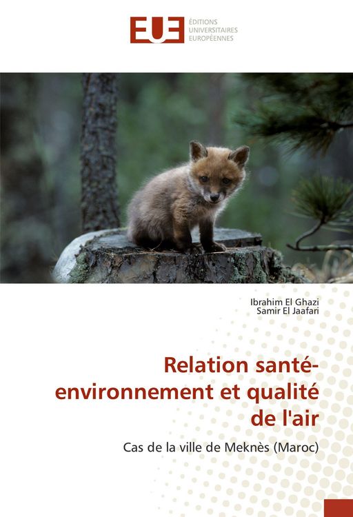 Produktbild: Relation sant&eacute;-environnement et qualit&eacute; de l'air