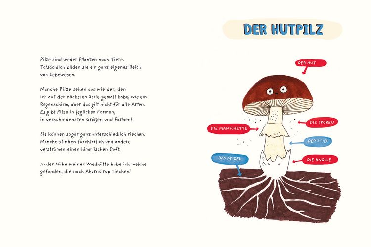 Produktbild: Pilzparade