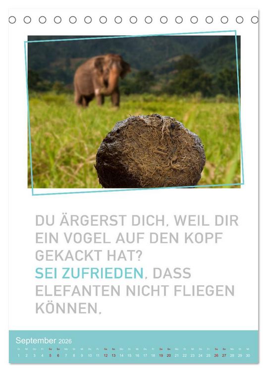 Produktbild: Tierisch bekloppt! (Tischkalender 2026 DIN A5 hoch), CALVENDO Monatskalender