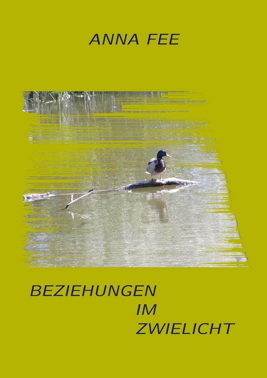 Produktbild: Beziehungen im Zwielicht