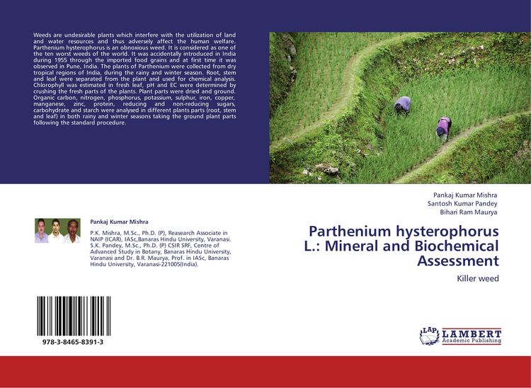Produktbild: Parthenium hysterophorus L.: Mineral and Biochemical Assessment