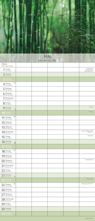 Produktbild: Familienplaner Zen 2026 - Familien-Timer 19,5x45 cm - 5 Spalten - Wand-Planer - viel Platz für Eintragungen - Familienkalender - Alpha Edition
