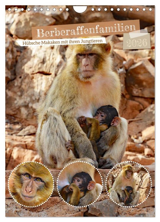Produktbild: Berberaffenfamilien (Wandkalender 2026 DIN A4 hoch), CALVENDO Monatskalender
