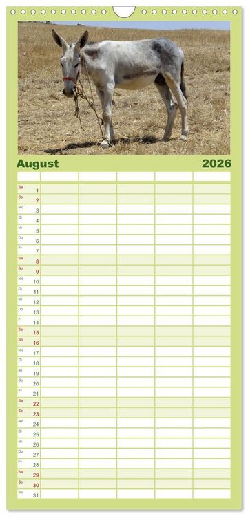 Produktbild: Familienplaner 2026 - Extremadura Spanien mit 5 Spalten (Wandkalender, 21 x 45 cm) CALVENDO