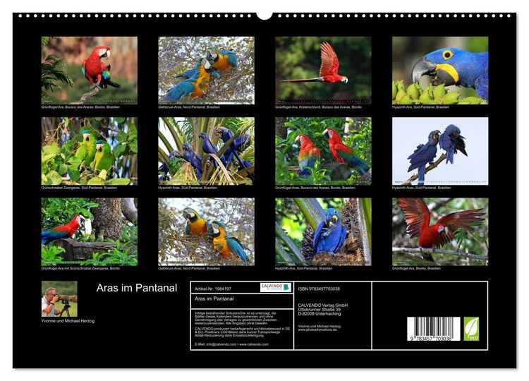 Produktbild: Aras im Pantanal (hochwertiger Premium Wandkalender 2026 DIN A2 quer), Kunstdruck in Hochglanz