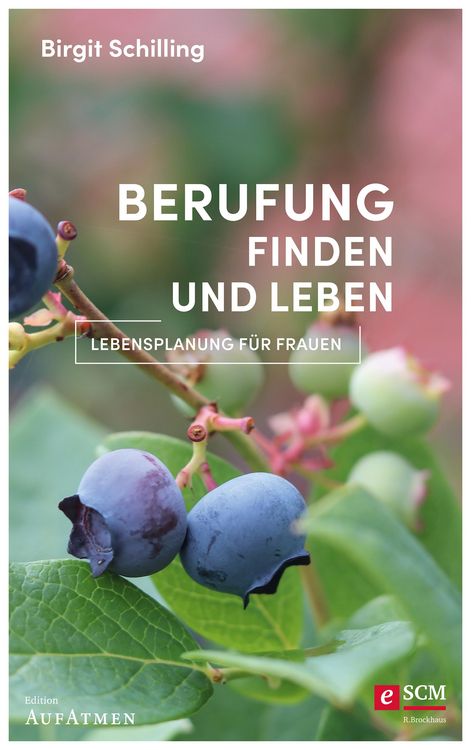 Produktbild: Berufung finden und leben