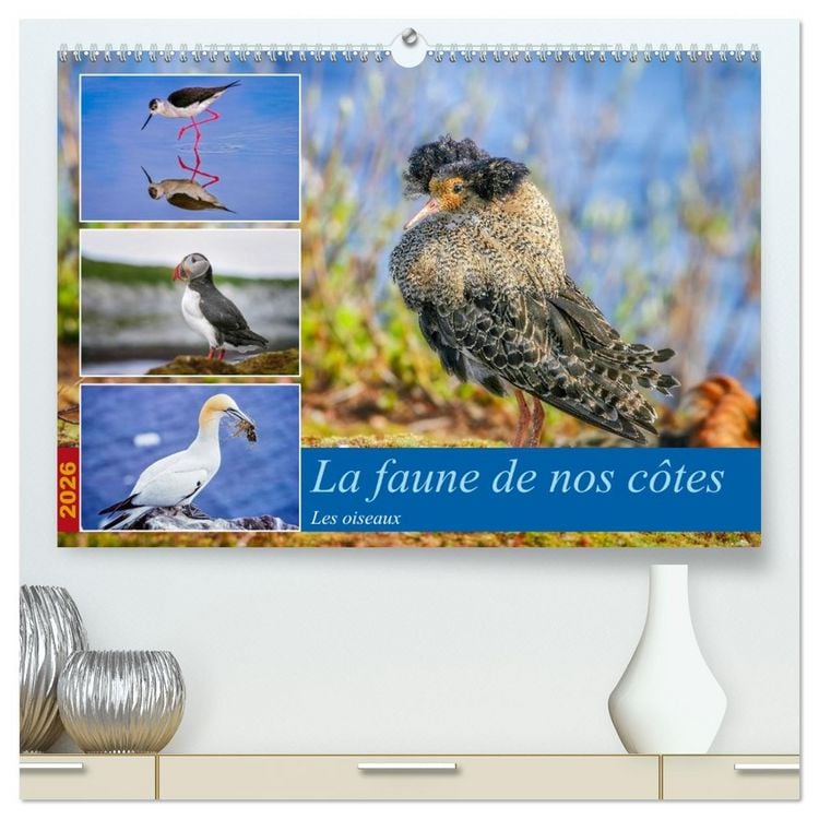 Produktbild: La faune de nos c&ocirc;tes les oiseaux (Calendrier mural 2026 DIN A2 vertical) calendrier de bureau