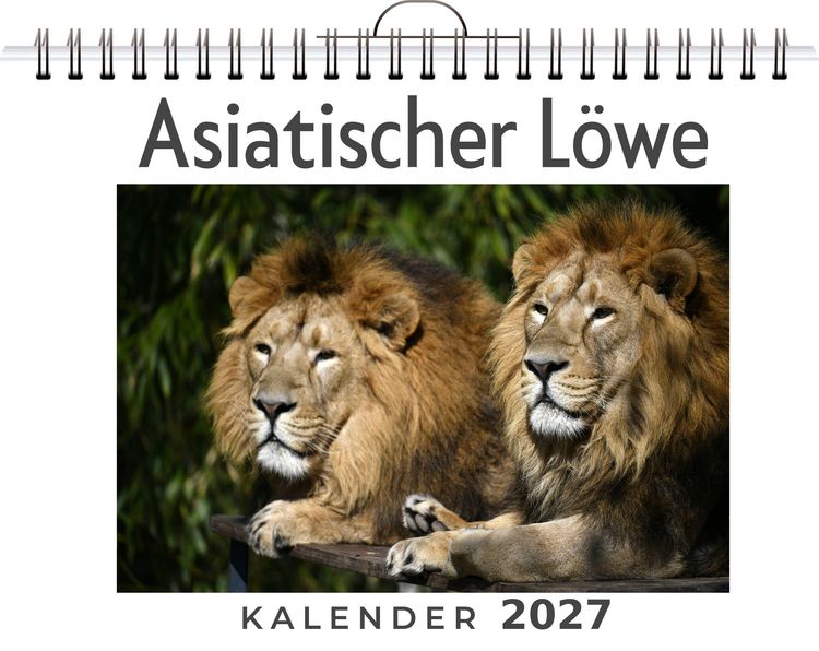 Produktbild: Asiatischer L&ouml;we