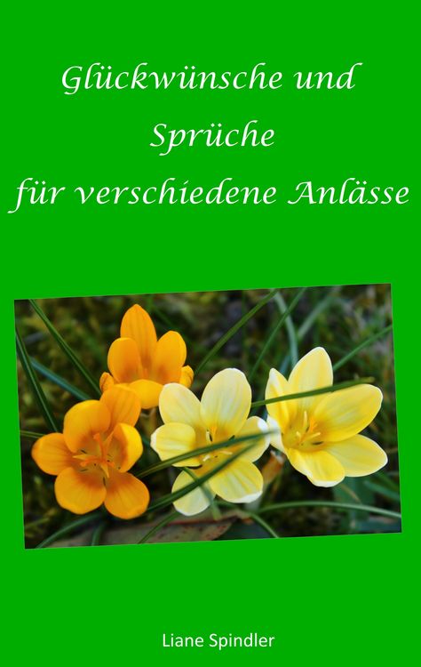 Produktbild: Gl&uuml;ckw&uuml;nsche und Spr&uuml;che f&uuml;r verschiedene Anl&auml;sse