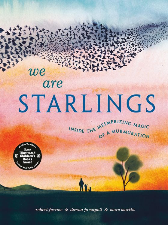 Produktbild: We Are Starlings