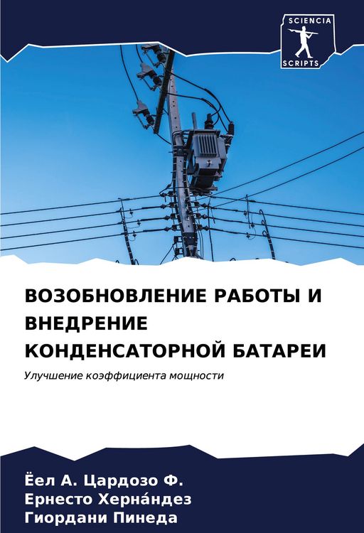 Produktbild: VOZOBNOVLENIE RABOTY I VNEDRENIE KONDENSATORNOJ BATAREI