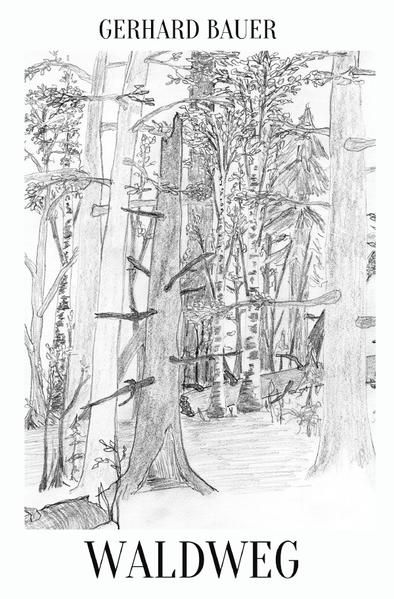 Produktbild: Waldweg