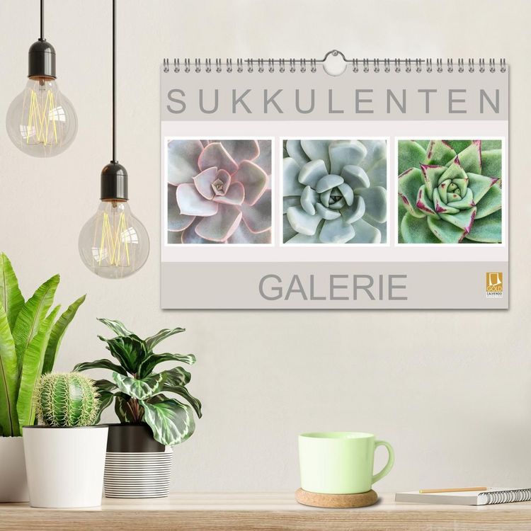 Produktbild: Sukkulenten Galerie (Wandkalender 2027 DIN A4 quer), CALVENDO Monatskalender