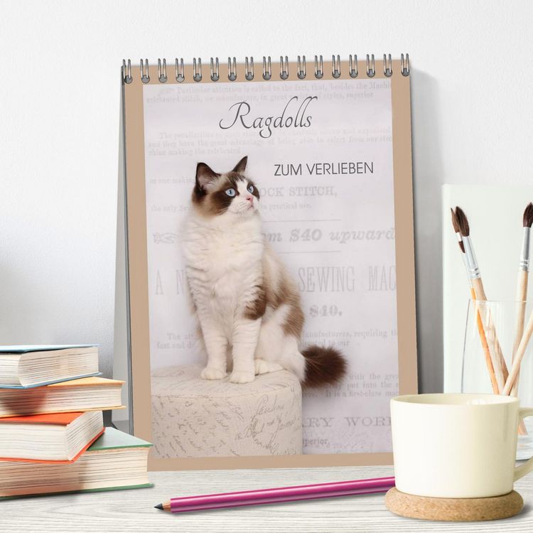 Produktbild: Ragdolls zum Verlieben (Tischkalender 2026 DIN A5 hoch), CALVENDO Monatskalender