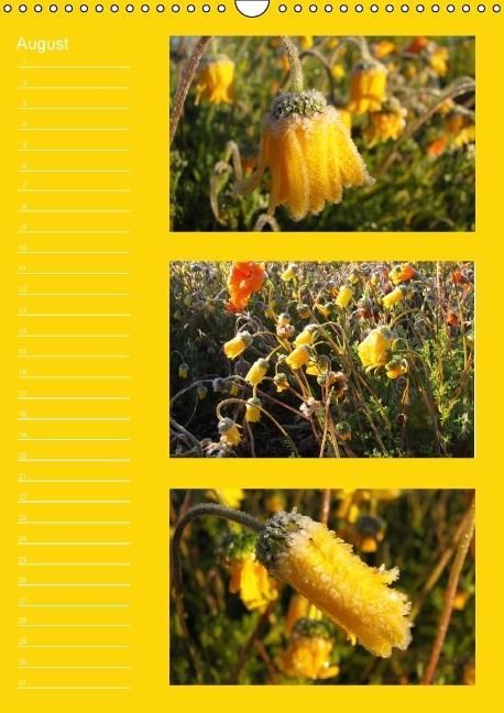 Produktbild: Zauberwelt der Blumen - Eiskristalle & Wasserperlen / Geburtstagskalender (Wandkalender immerw&auml;hrend DIN A3 hoch)