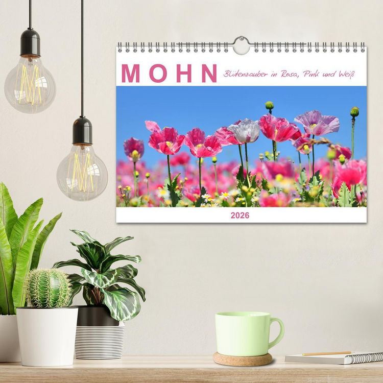 Produktbild: Mohn, Bl&uuml;tenzauber in Rosa, Pink und Wei&szlig; (Wandkalender 2026 DIN A4 quer), CALVENDO Monatskalender