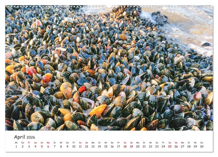 Produktbild: D&uuml;nen und Meer Nordseemomente (hochwertiger Premium Wandkalender 2026 DIN A2 quer), Kunstdruck in Hochglanz