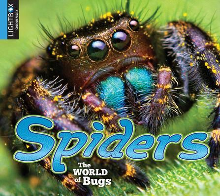 Produktbild: Spiders