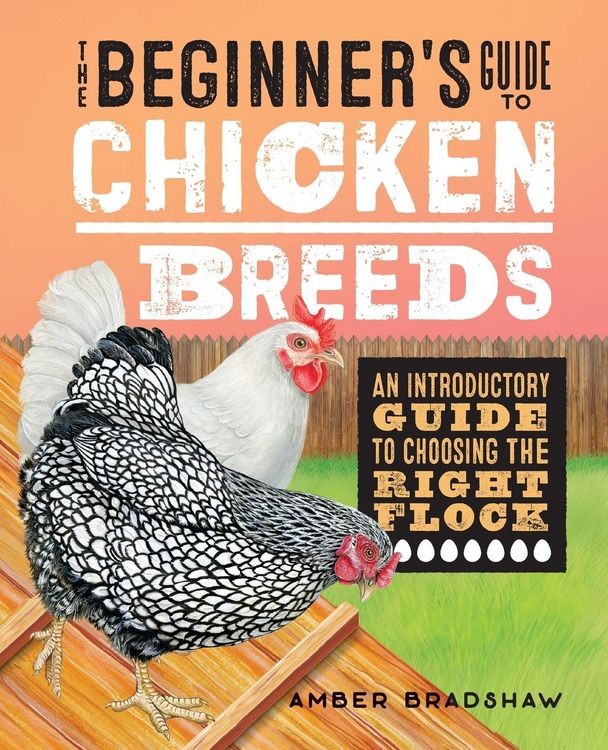 Produktbild: The Beginner's Guide to Chicken Breeds