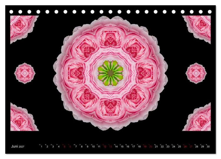 Produktbild: ROSEN MANDALAS (Tischkalender 2027 DIN A5 quer), CALVENDO Monatskalender