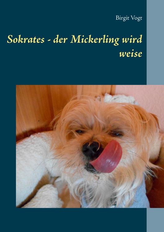 Produktbild: Sokrates - der Mickerling wird weise